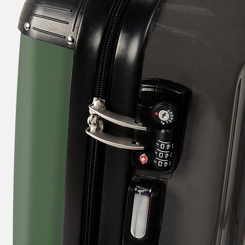 Dailes Hydrangeas - Suitcase