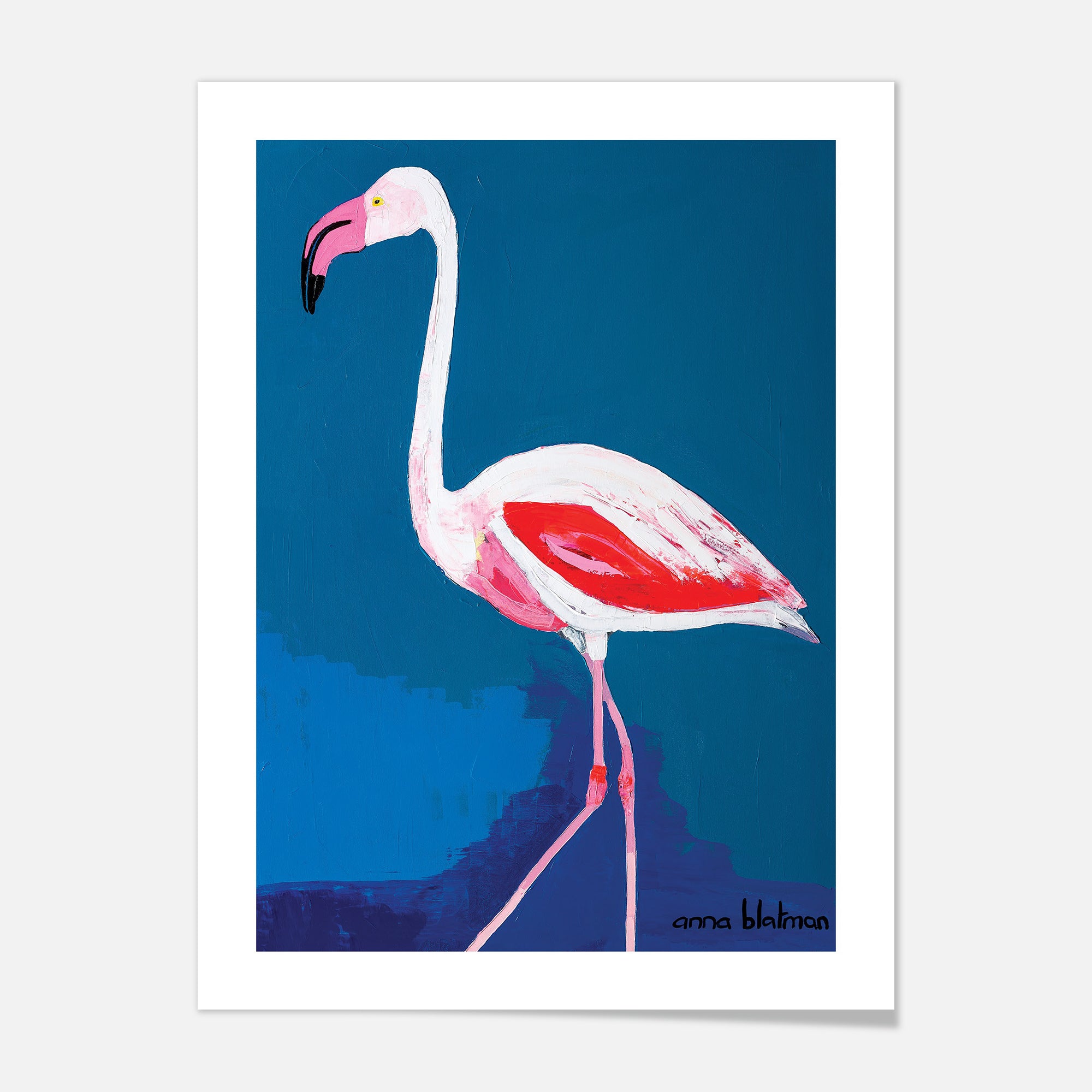 Florida - Art Print