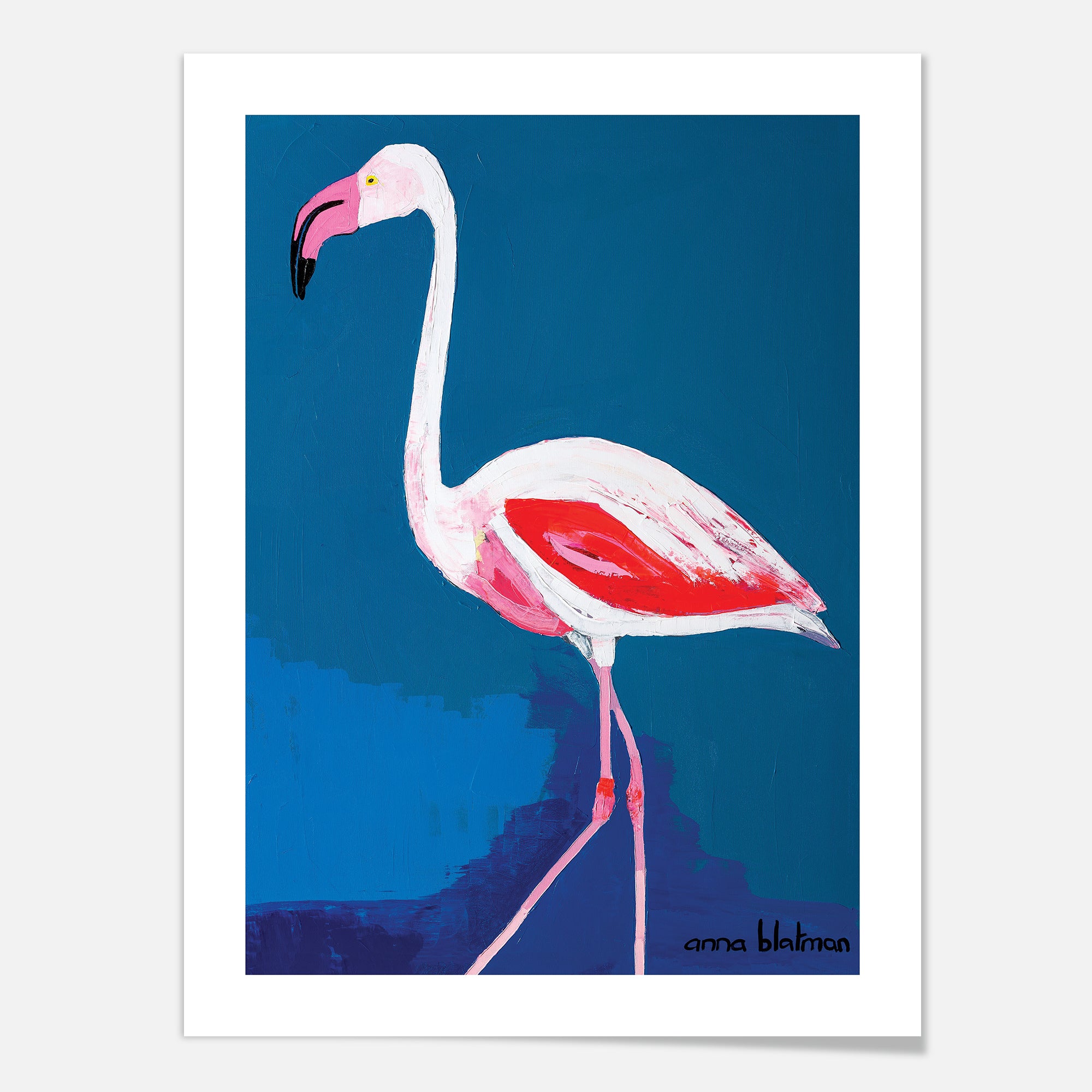 Florida - Art Print