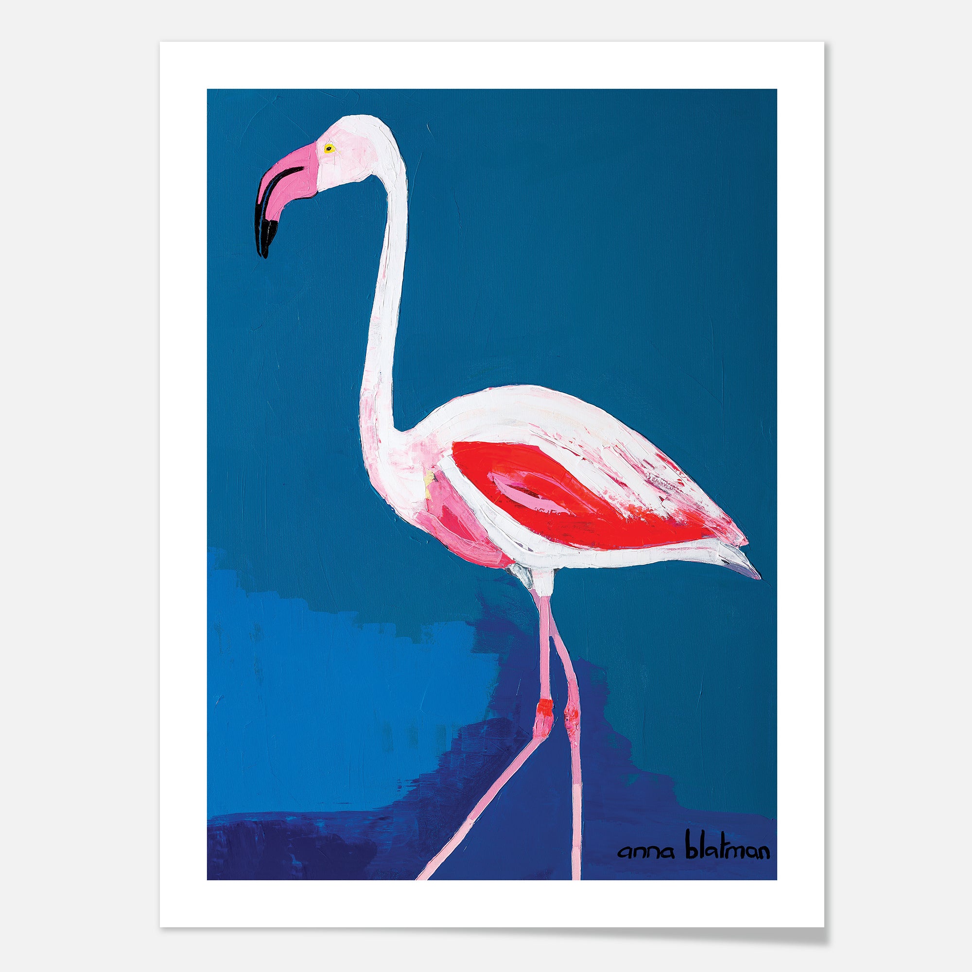 Florida - Art Print